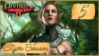 Divinity: Original Sin II ★ 5: Конфликт с Гриффом