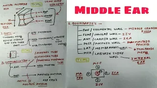 Middle Ear Anatomy - 2 Parts , Connection , Boundaries | TCML