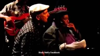 James Cotton Blues Band - "Hoochie Coochie Man" Buenos Aires, Argentina (2013)