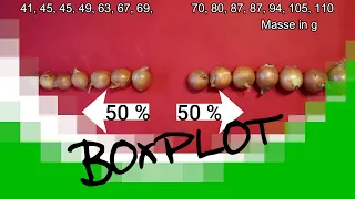 Einmal Boxplot mit Zwiebeln, bitte!