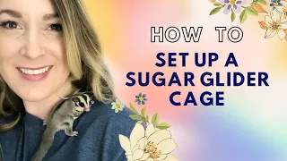 How to Set Up a Sugar Glider Cage