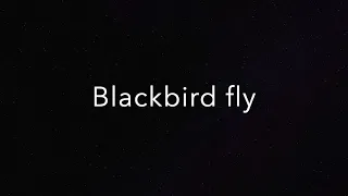 Beatles - Blackbird (lyrics) HD