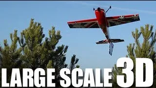 Flite Test - Large Scale 3D