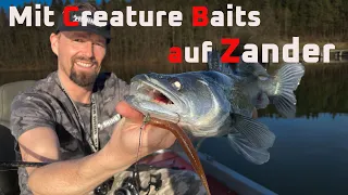 Richtig auf Zander angeln mit Creature Bait FPS - Fishingprofi