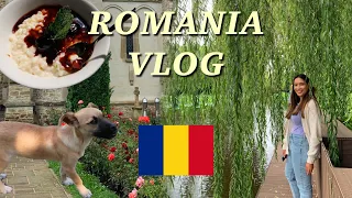 ROMANIA TRAVEL VLOG | Relaxing in the countryside & Bucharest exploration