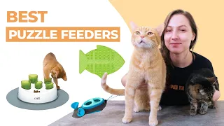 The 5 Best Cat Puzzle Feeders & Slow Feeders