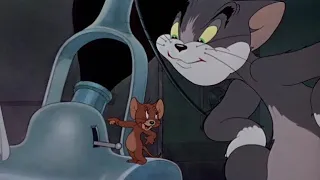 Tom and Jerry Golden Collection E 04 C - FRAIDY CAT |LOOcaa|