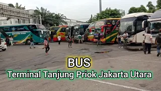 Terminal Tanjung Priok !! Jalur Dalam Kota Dan Luar Kota !! Angkutan Kota,Trans Jakarta, Berlianjaya