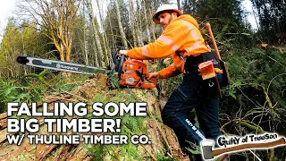Cutting Timber with a Ported 592xp and wearing my new JK Caulk Logger Boots!