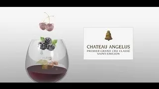 Chateau Angelus - Verkostungsvisualisierung