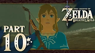The Legend of Zelda: Breath of the Wild - Part 10 - Gerudo Desert