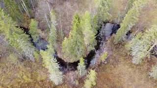 Когда нибудь вода этого ручья попадет в море.