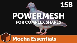 15b PowerMesh for Complex Shapes [Mocha Essentials]
