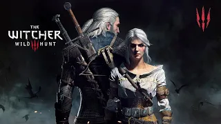 The Witcher 3: Wild Hunt #3