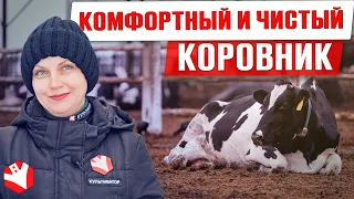 6 популярных видов подстилки для коров | Содержание КРС | Молочное животноводство