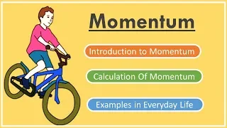 What is Momentum? Physics