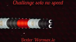 Challenge wormax.io no speed solo 800k