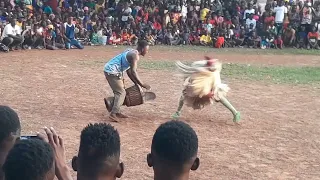 la danse traditionnelle africaine "kodden Tollon" #1