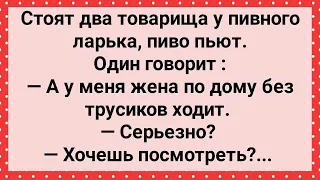 Жена Товарища По Дому Без Трусов Ходит! Сборник Свежих Анекдотов! Юмор!