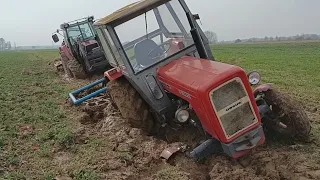 MEGA WTOPA -- Ursus C-360 i Massey Ferguson 3065 S nie wyjadą wyciąga ich  Ursus 1224