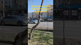 В Алматы решили навести порядок с курьерами на скутерах?