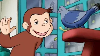 Georges le Petit Singe 🐵L'arbre à Pigeons 🐵Saison 1 🐵Dessins Animés 🐵Animation Pour E