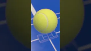 Squirrel play tennis