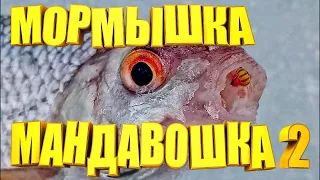 Без этой снасти на рыбалку не хожу. Самодельная Мормышка Мандавошка выручает ВСЕГДА ПРОВЕРЕНО годами