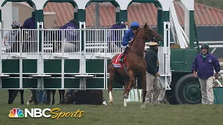 Albahr trapped under the gate before the 2021 Breeders' Cup Juvenile Turf | NBC Sports