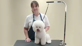 HOW TO CREATE A PET TRIM FOR A BICHON FRISE | ANDIS