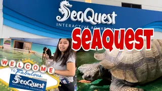 My First Time At SeaQuest 2023 | Las Vegas | Fun Sizer