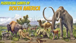Extinct Pleistocene Megafauna of North America