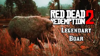 Red Dead Redemption 2 | Legendary Animal - Legendary Boar