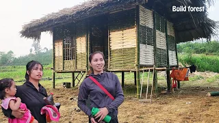 Full video 30 days: Run away from cruel husband. Build bamboo stilt houses. new life