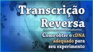 Transcrição reversa - como obter o cDNA adequado para o seu experimento