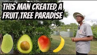 Fruit Tree Lovers Dream Farm For Sale