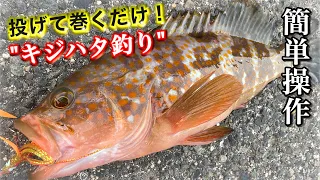 海岸堤防から投げて巻くだけでキジハタが釣れる【タコベイト＆ショアラバで簡単アクション】