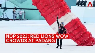 National Day Parade 2023: Red Lions wow crowds at Padang