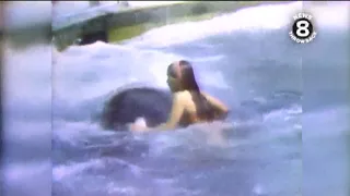 Shamu attack 1971