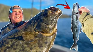 WHAT WILL EAT A BIG BAITFISH IN NORWAY? | Team Galant