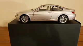 1/18 Scale BMW M6. Jadi.