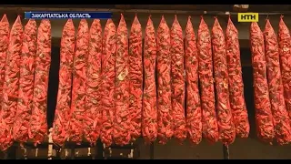 На Закарпатті триває активний збір урожаю червоного солодкого перцю