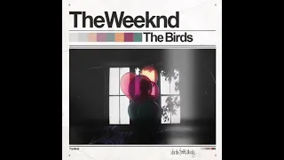 The Weeknd -The Birds [Interlude/Part 1/Part 2] | Transition