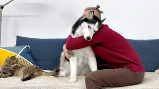 Hugging My Husky Dog for Too Long