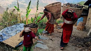 Simple the Best Himalayan Village Life || Daily activities of people in Nepali village life of Nepal