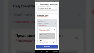 Пассажирская таможенная декларация