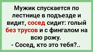 Сосед в Подъезде без Трусов! Подборка Свежих Смешных Жизненных Анекдотов для Супер Настроения!