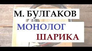 М. Булгаков "Собачье сердце" читает Петр Каледин