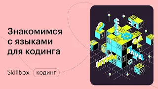 Как выбрать направление в программировании в 2021 году. Интенсив для новичков