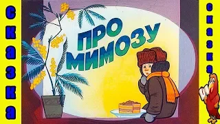 СКАЗКА ПРО МИМОЗУ// ДИАФИЛЬМ//СКАЗКА НА НОЧЬ//АУДИОСКАЗКА//ИНТЕРЕСНО И ПОУЧИТЕЛЬНО